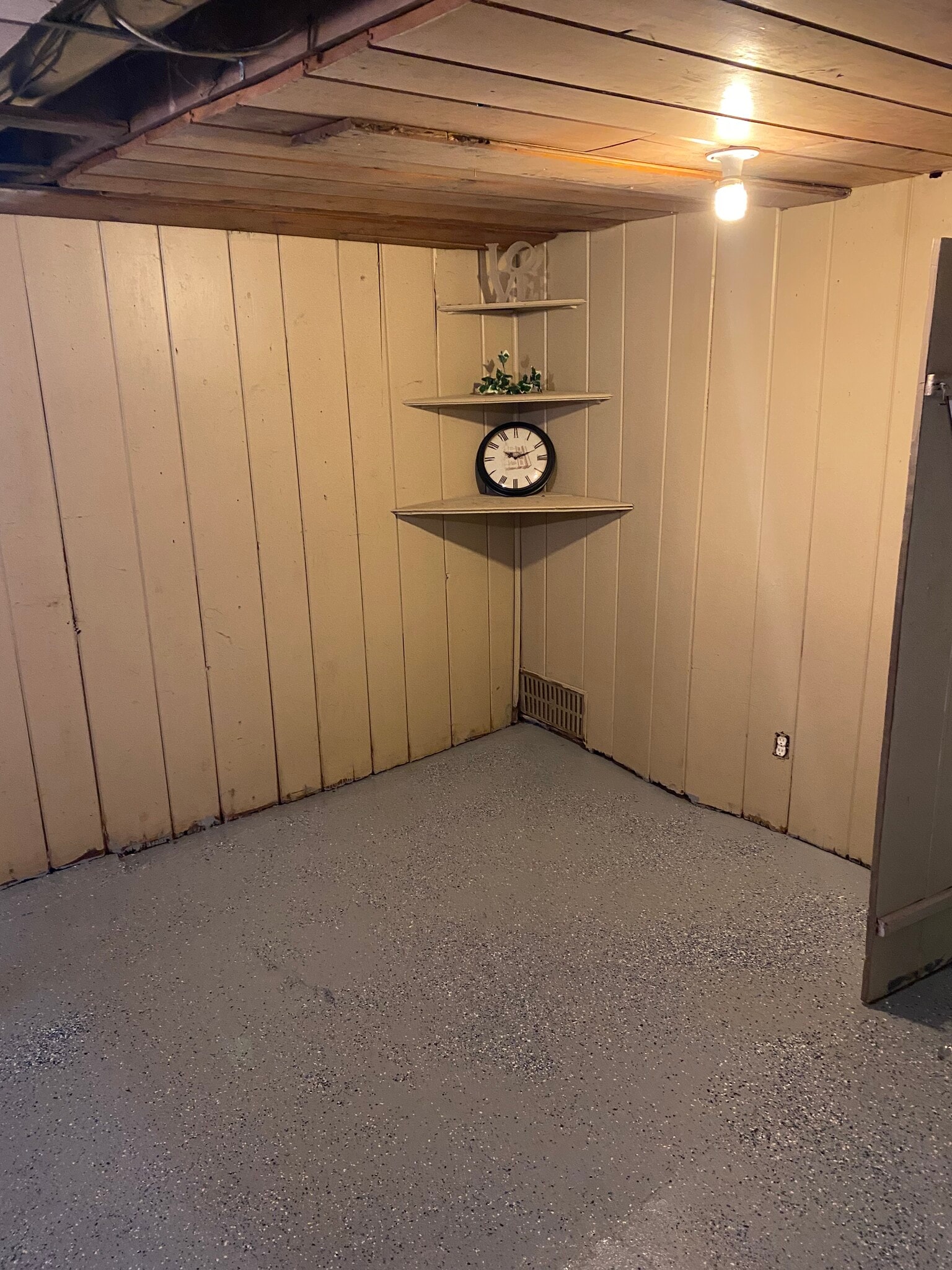 Basement - 237 Lake St