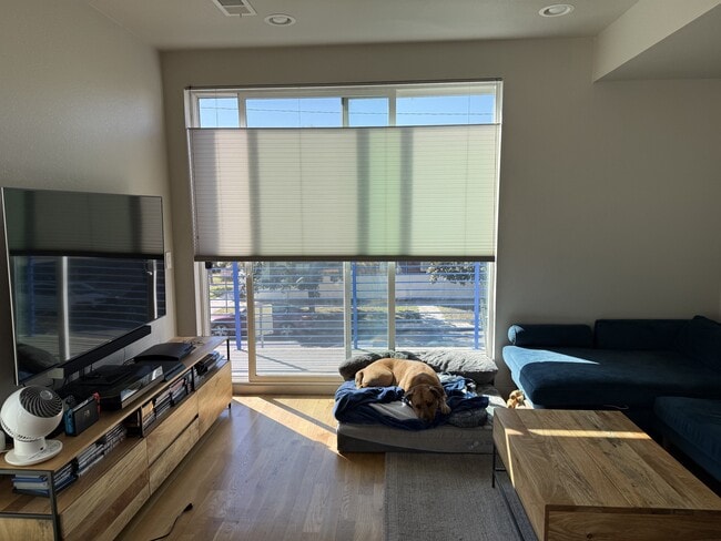 Building Photo - 1551 King St