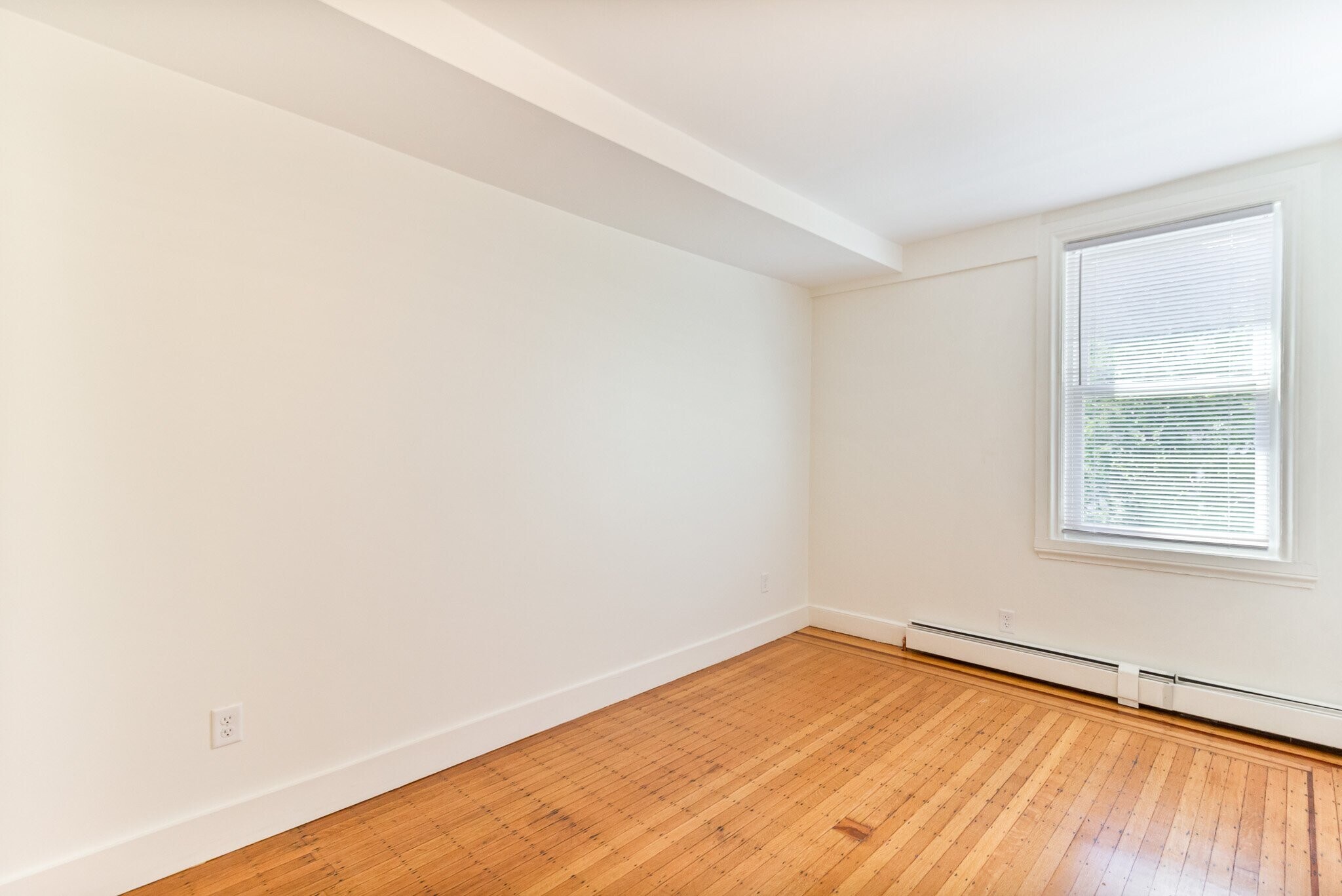 Building Photo - 169 Waterman St