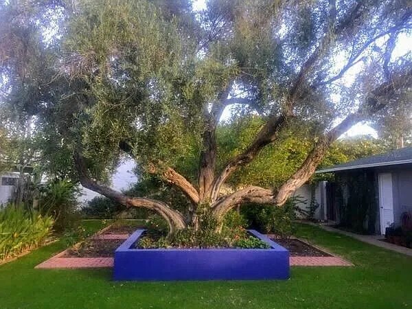 Building Photo - 543 W Coronado Rd