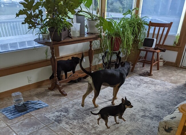 Building Photo - 116 Hidden Valley Dr