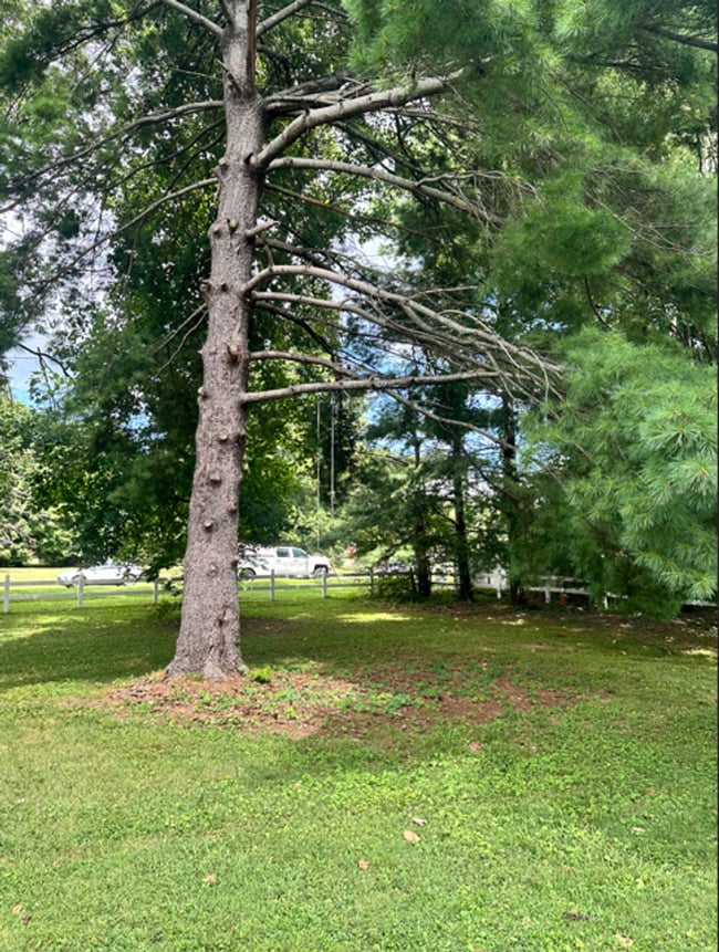 Building Photo - Cute 3 bed condo in great Hermitage location!
