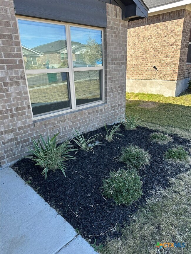 Building Photo - 1209 Lehmann Dr