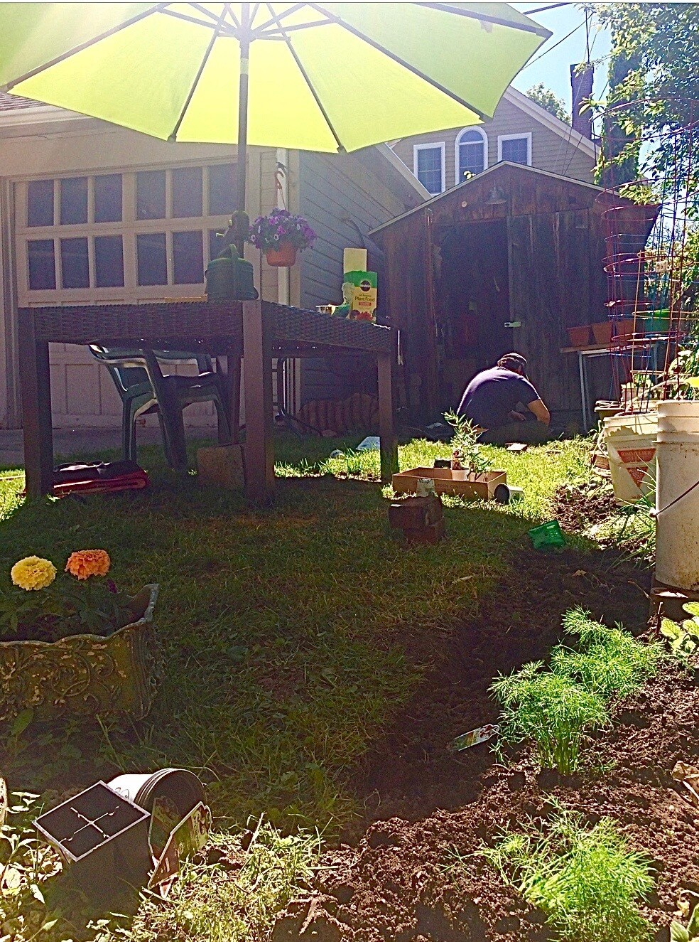 Building Photo - 24 Brantford Pl