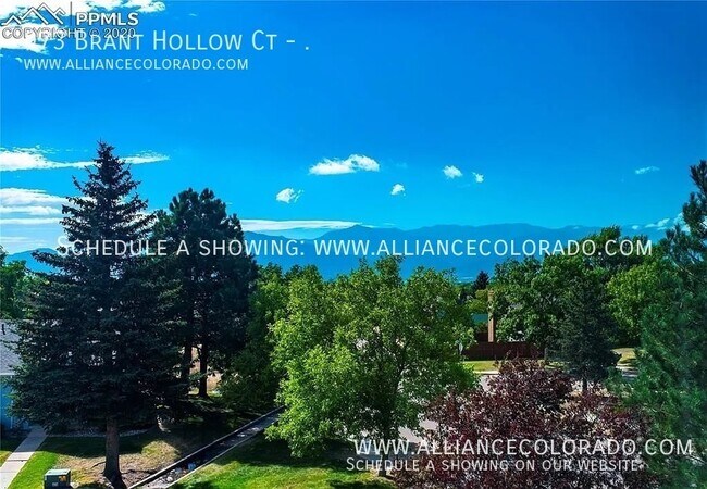 Building Photo - 973 Brant Hollow Ct