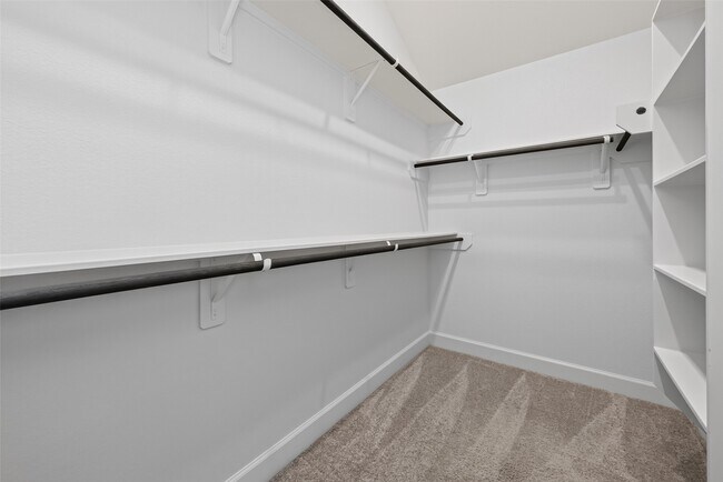 Building Photo - 232 W Netleaf Ct