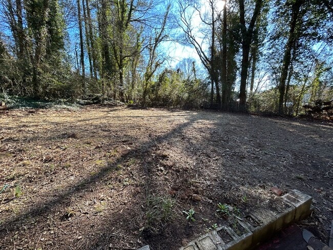 Building Photo - 3/1 Hidden Gem in Old East Rome- $1,195