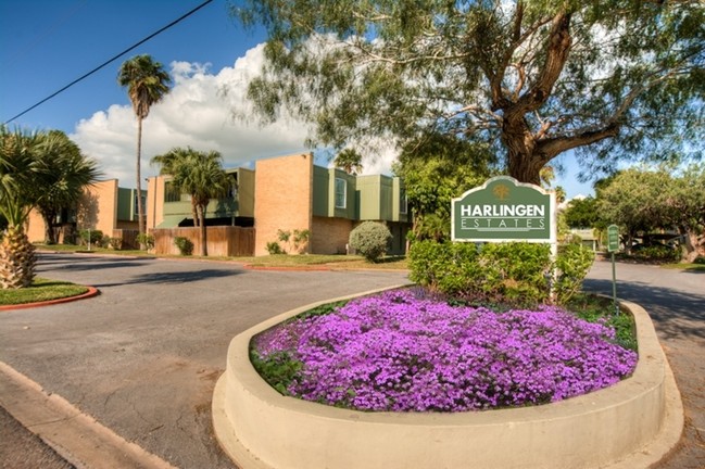 Primary Photo - Harlingen Estates