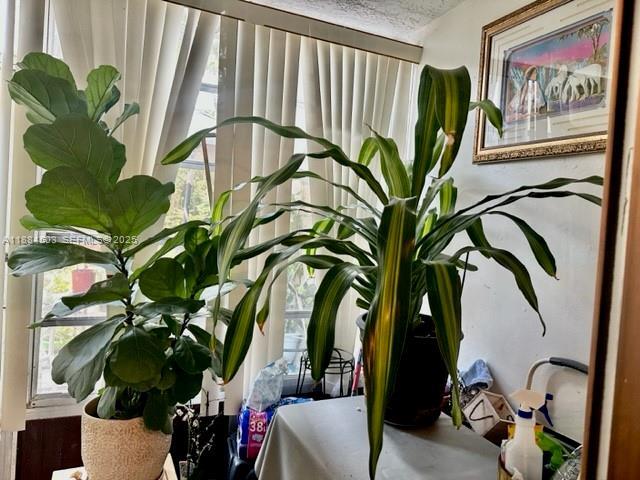 Building Photo - 9450 Live Oak Pl