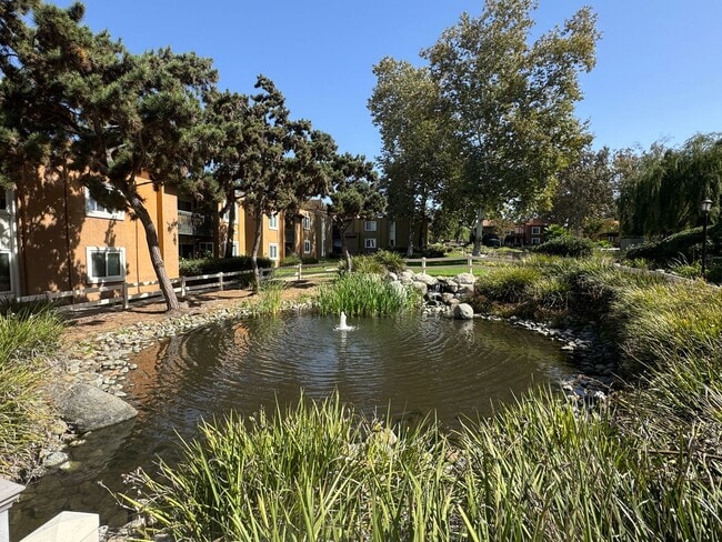 Building Photo - Rancho Bernardo Waterbridge Condos