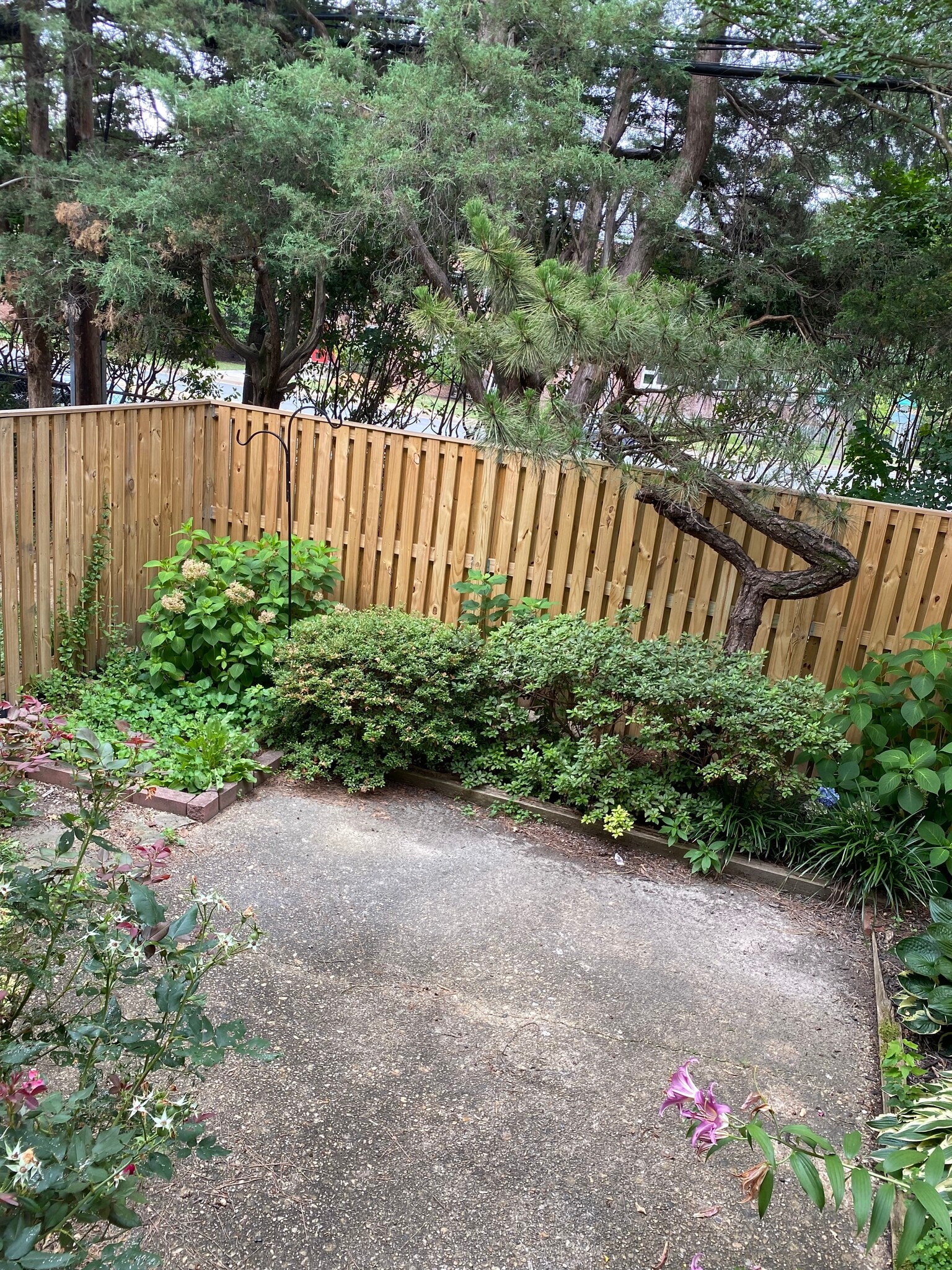 Private backyard - 3441 S Stafford St