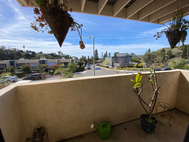 Building Photo - 3705 Balboa Terrace