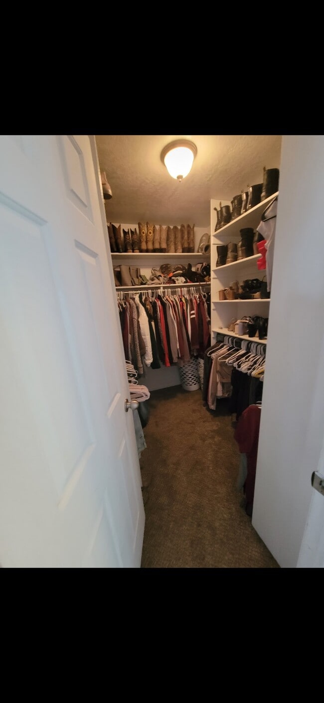 Building Photo - 11729 Gold Stone Dr