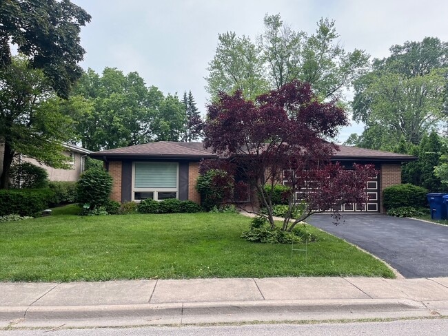 Primary Photo - 2737 Orchard Ln