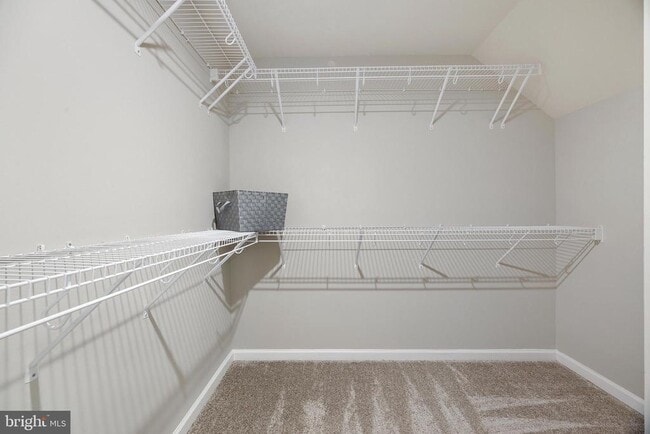 Building Photo - 3729 Silver View Ln