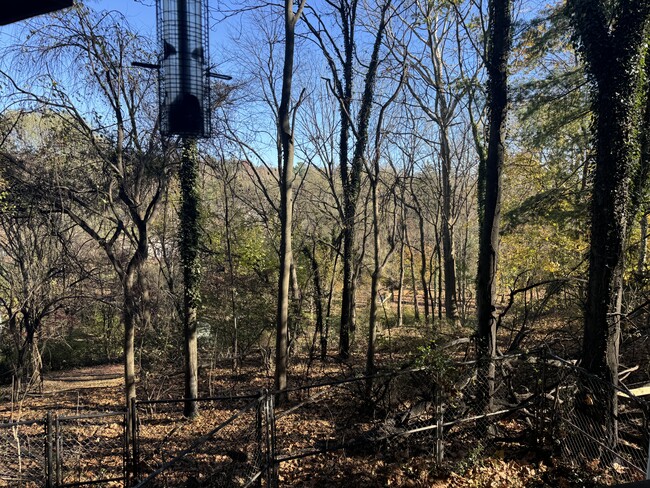 View from Deck - 7903 Roldrew Ave