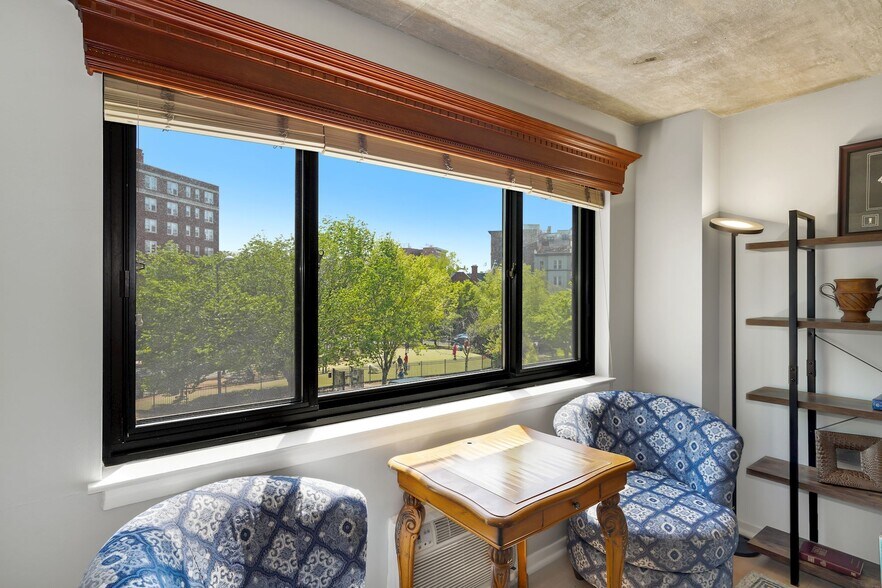 The best views of the Dog Park - 1816 New Hampshire Ave NW
