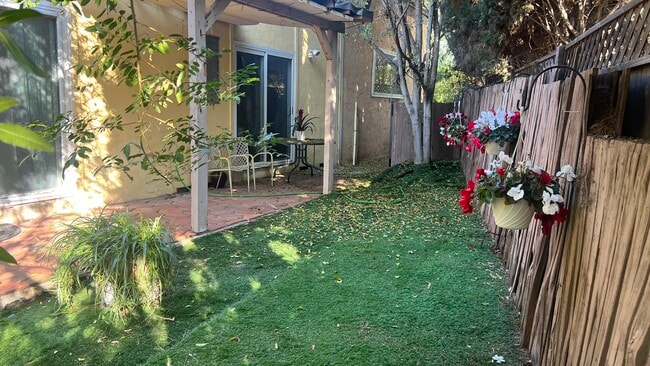 Fenced Side yard private - 1824 Shadow Knolls Pl