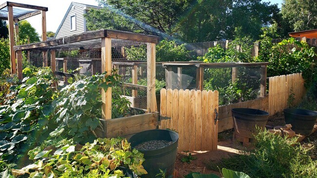 Building Photo - 913 Capulin Rd