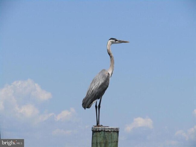 Building Photo - 82 Fountain St