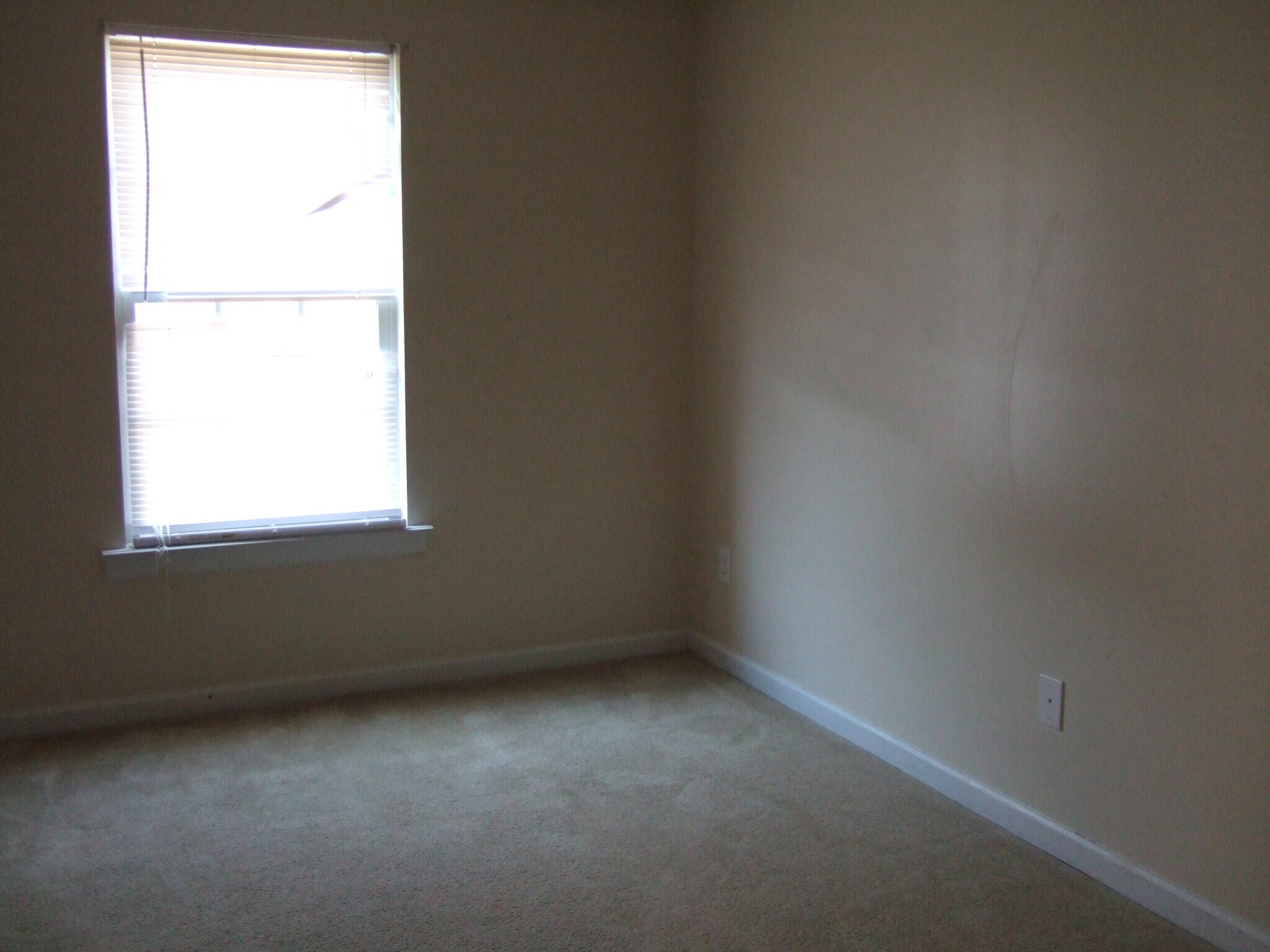 Building Photo - 6 Wilma Dr NW