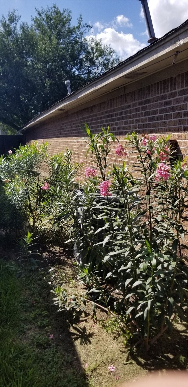 Building Photo - 10822 Lynbrook Dr