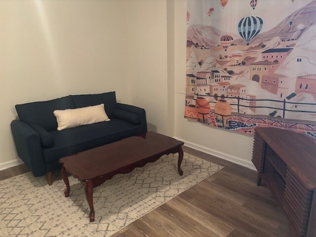 Lower level living room - 1110 Tolleys Ln
