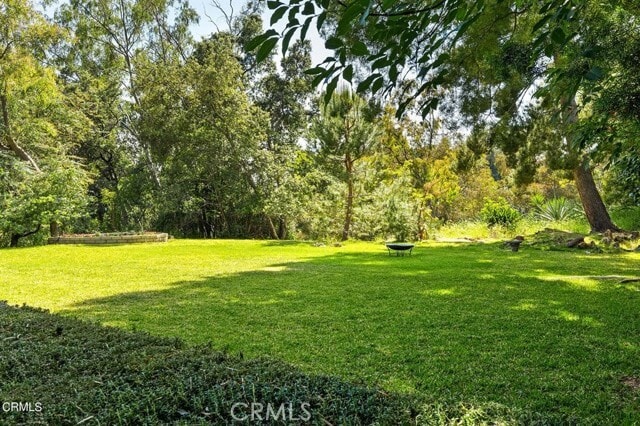 Building Photo - 2055 Liliano Dr