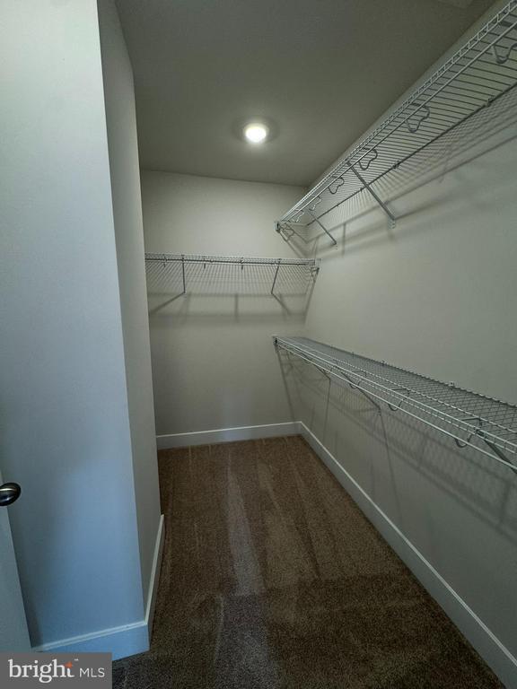 Building Photo - 2208 Winterberry Ln