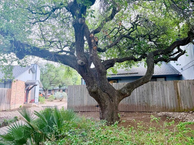 Building Photo - 1411 Gracy Farms Ln