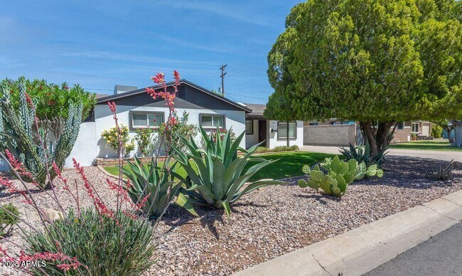 Primary Photo - 3232 E Cypress St