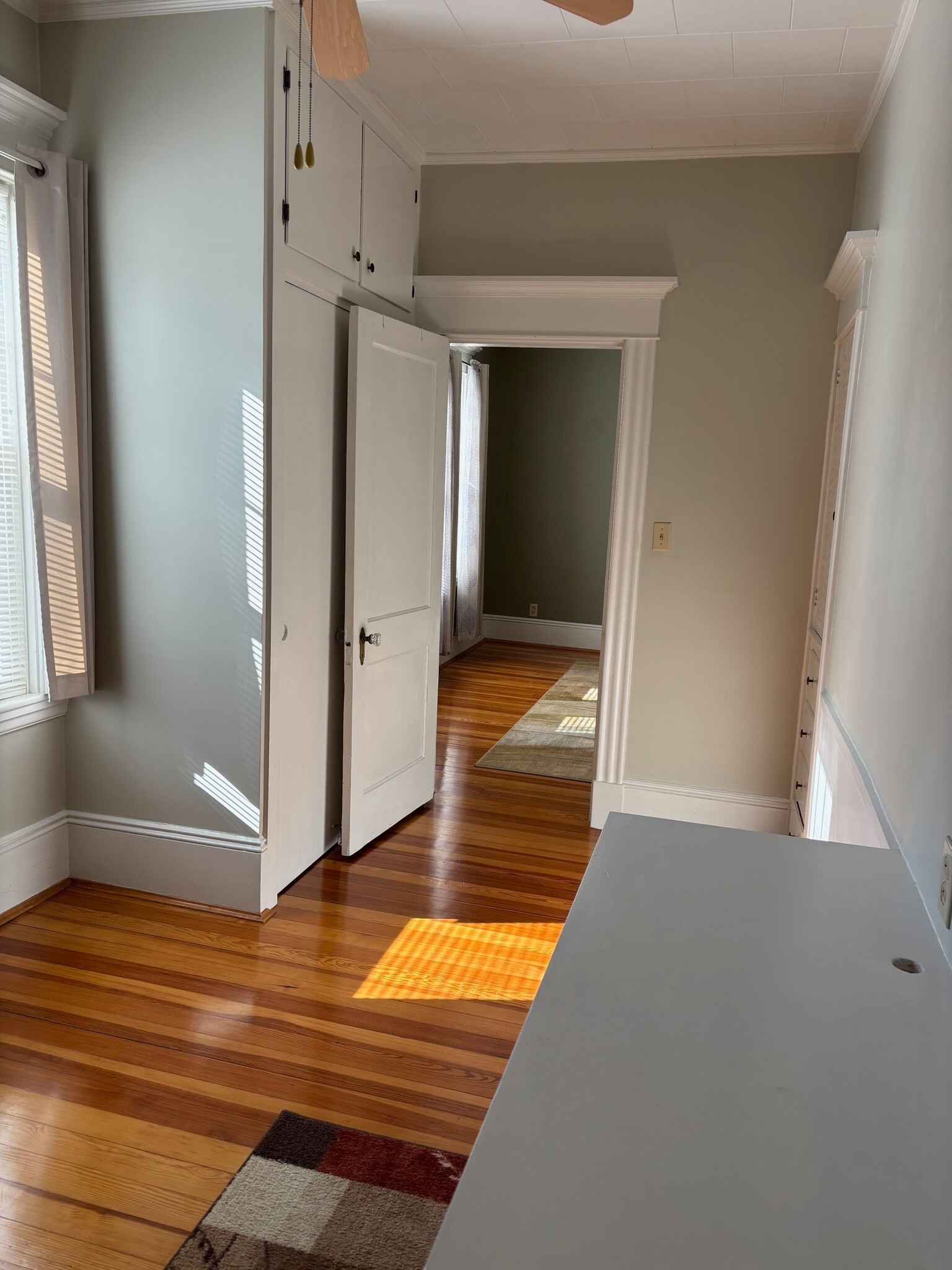 Building Photo - 14 Moynan St