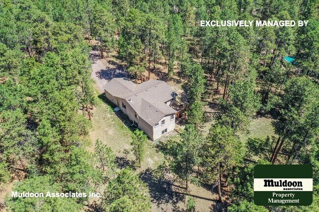 Building Photo - 8385 Woodcrest Dr