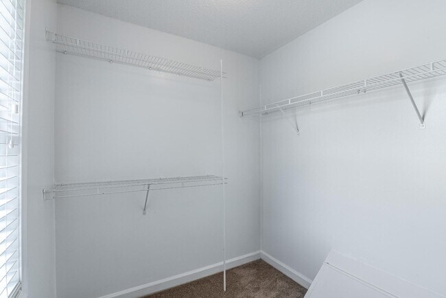 Building Photo - 509 Holly Ridge Ln
