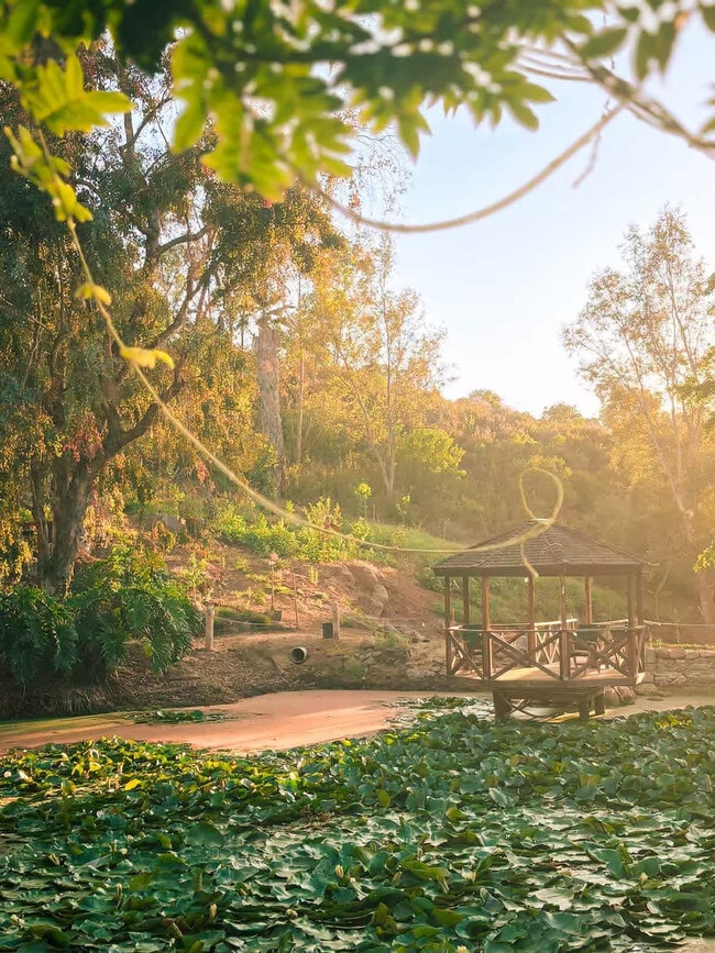 Building Photo - 30185 Vía Maria Elena