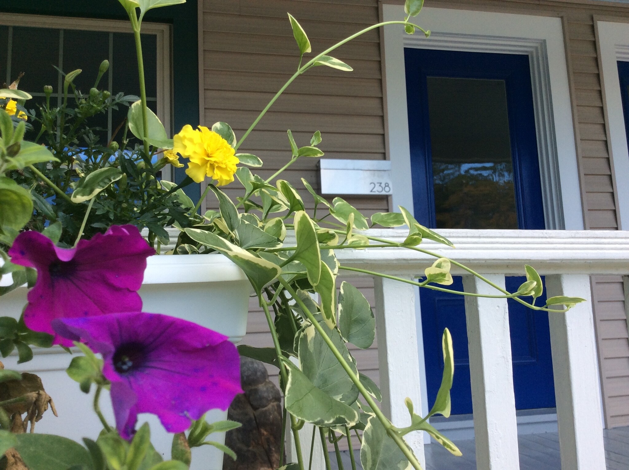 Front entry porch - 238 Fairview St