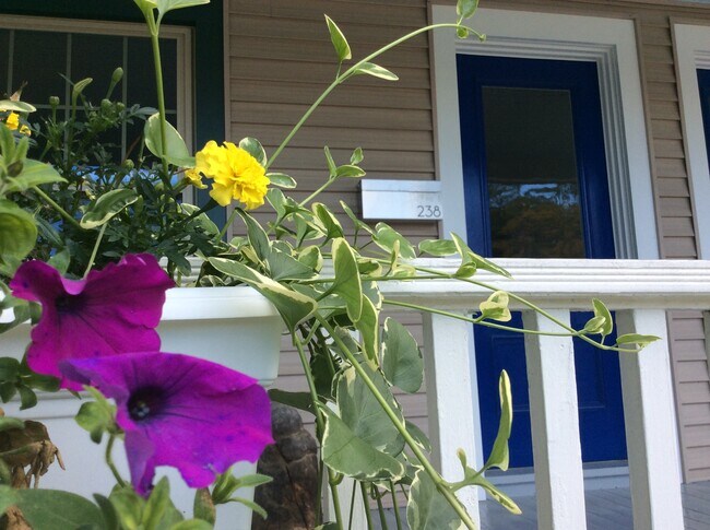 Front entry porch - 238 Fairview St