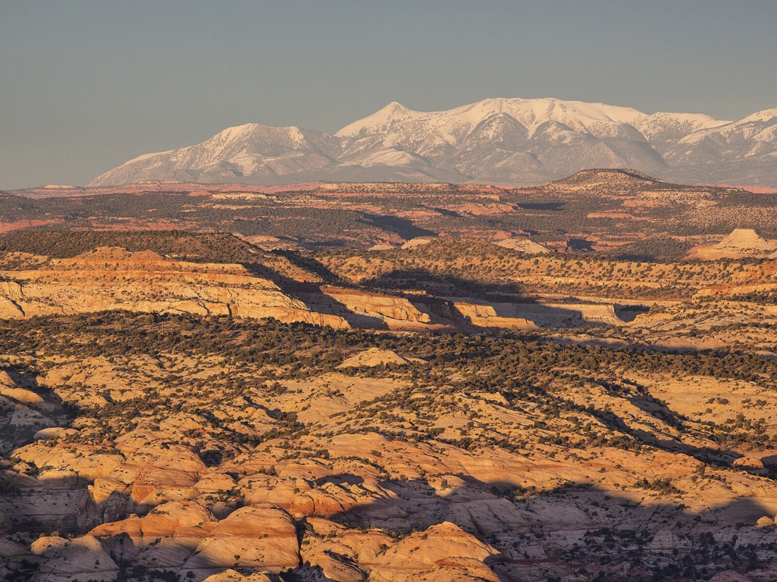 Building Photo - 523 W Vance Dr