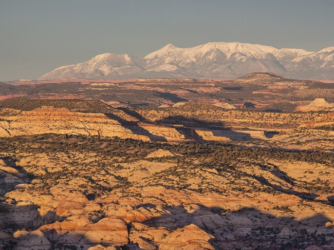 Building Photo - 523 W Vance Dr