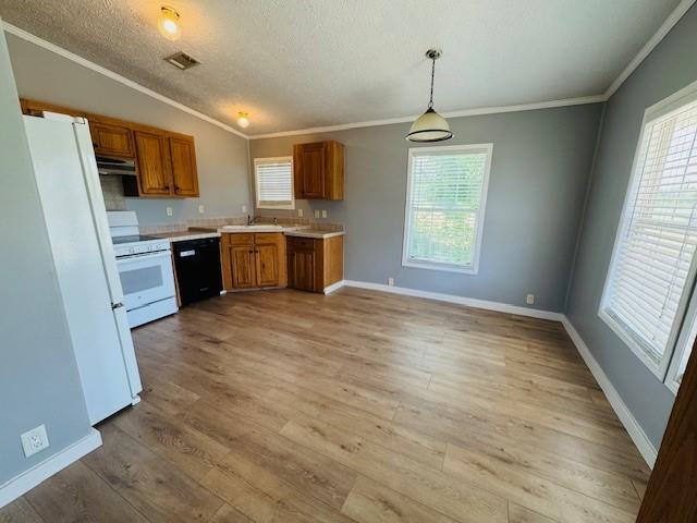 Building Photo - 620 Blueberry Ln