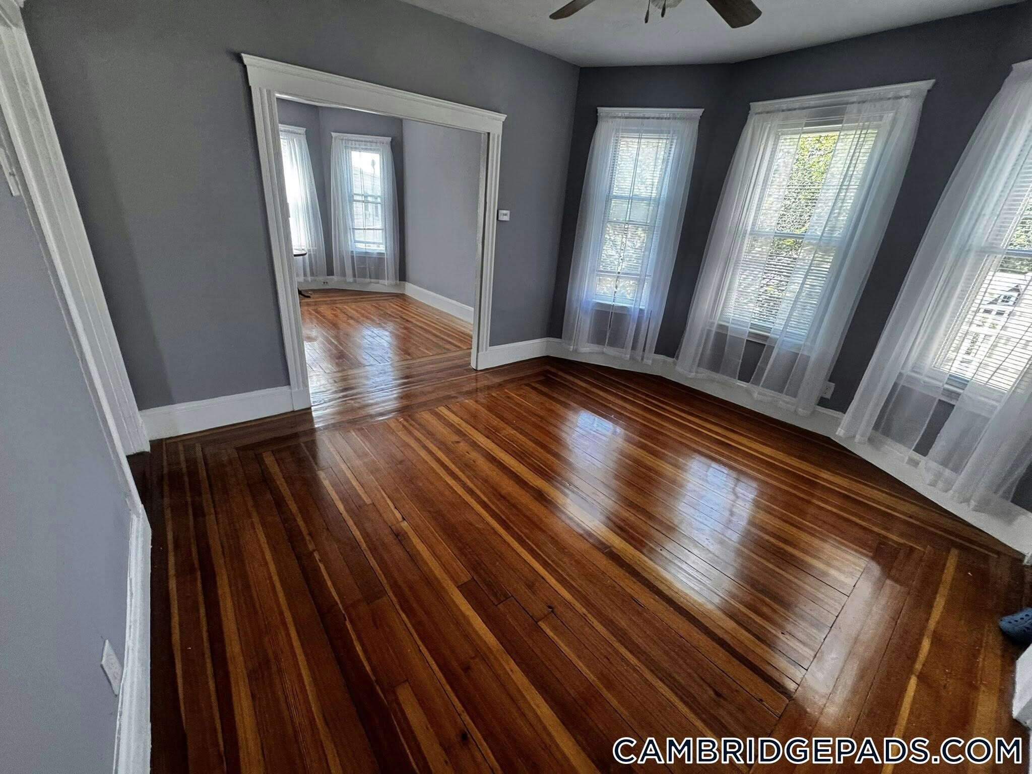 Building Photo - 32 Cedar St