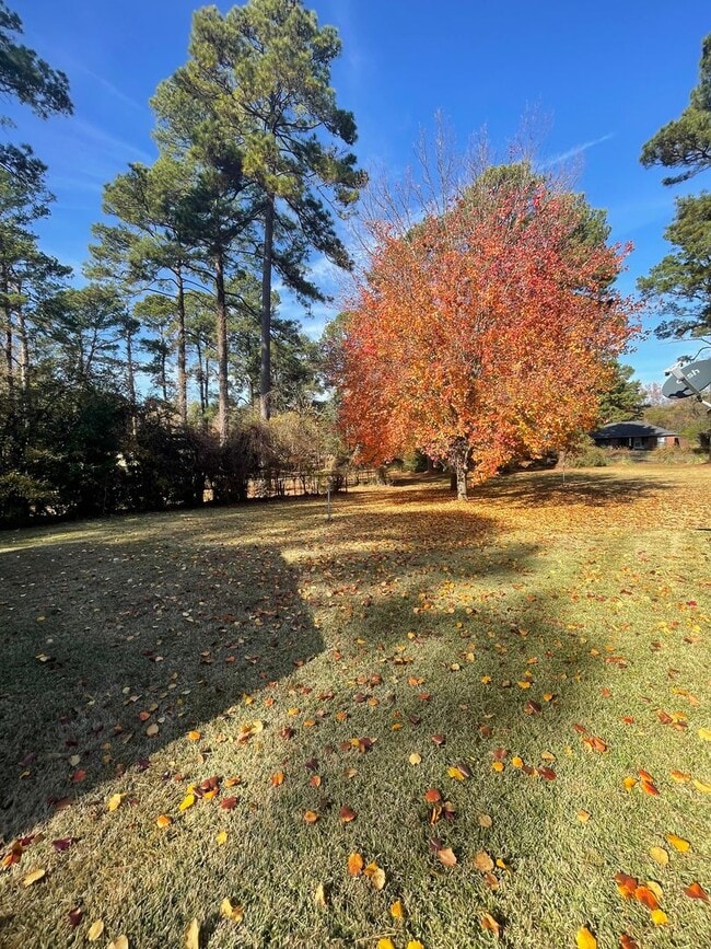 Building Photo - Gorgeous 3 Bedroom Home with Sunroom and Bonus Room!