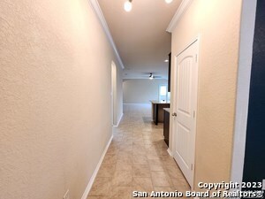 Building Photo - 1616 Tree Run