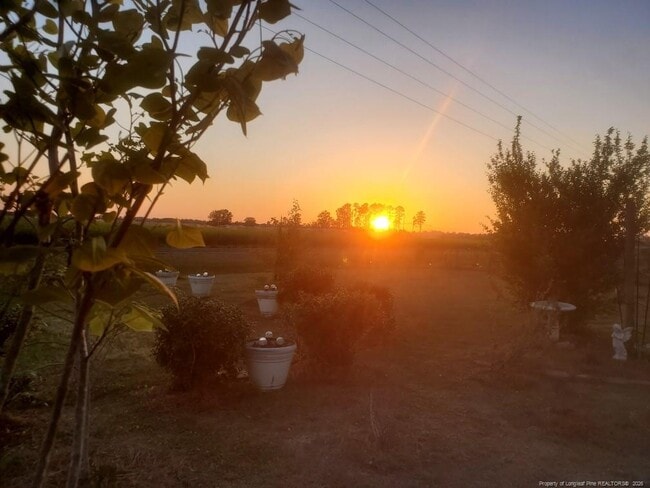 Building Photo - 1992 Henry Hammond Rd