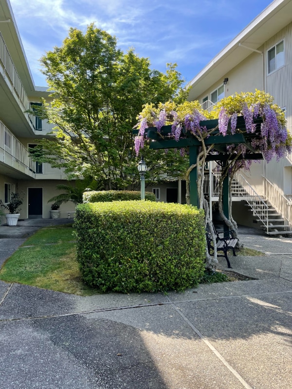 Building Photo - 3224 Palos Verdes Ct