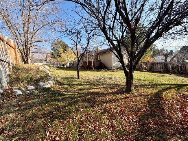 Building Photo - 2333 Cliff Swallow Dr