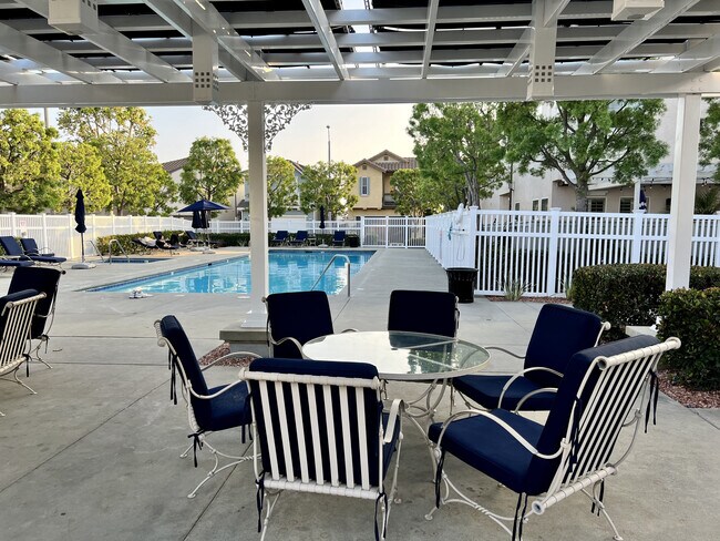 Swimming Pool, Jacuzzi and Picnic Area - 1256 Valle Ct