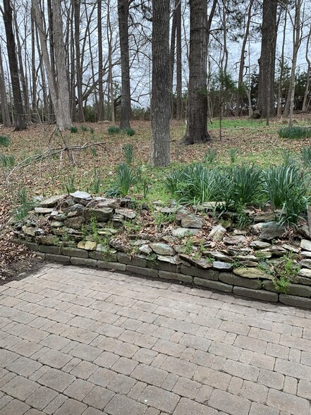 Building Photo - 125 Wild Primrose Ln