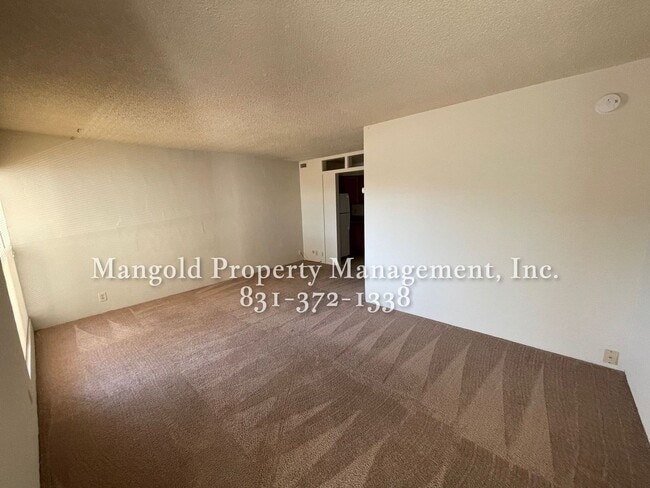 Building Photo - Beautiful Condo Located At Ocean Forest Condominiums - ALL UTILITIES INCLUDED- Access to Pool, Sa...