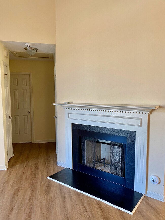 Fireplace - 137 Skipwyth Cir